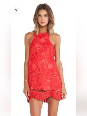 Lovers + Friends Red Floral Lace Mini Dress